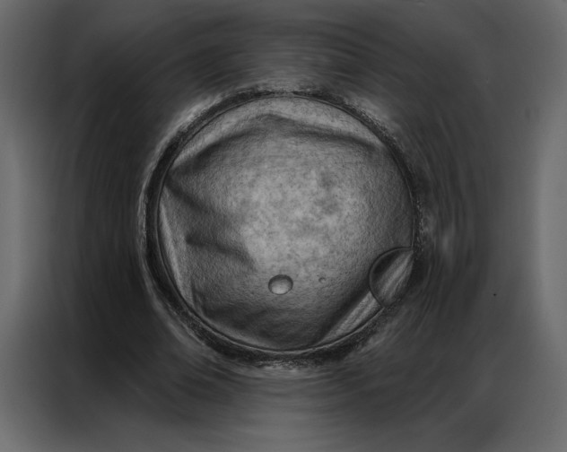 X0000086980678200705071417