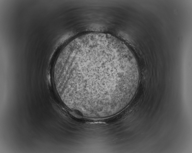 X0000086980679200705071417