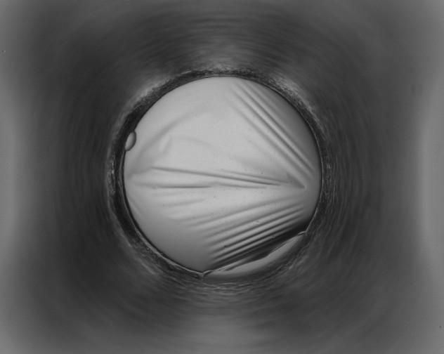 X0000086980680200705071417