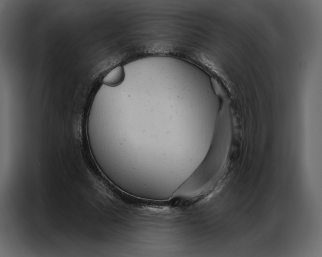 X0000086980681200705071417