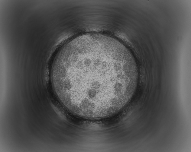 X0000086980683200705071417