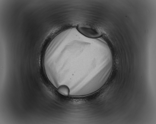 X0000086980686200705071417