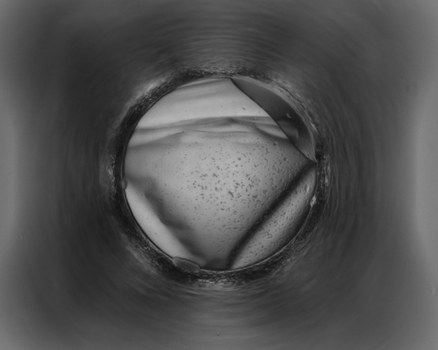 X0000086980688200705071417