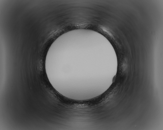 X0000086980689200705071417