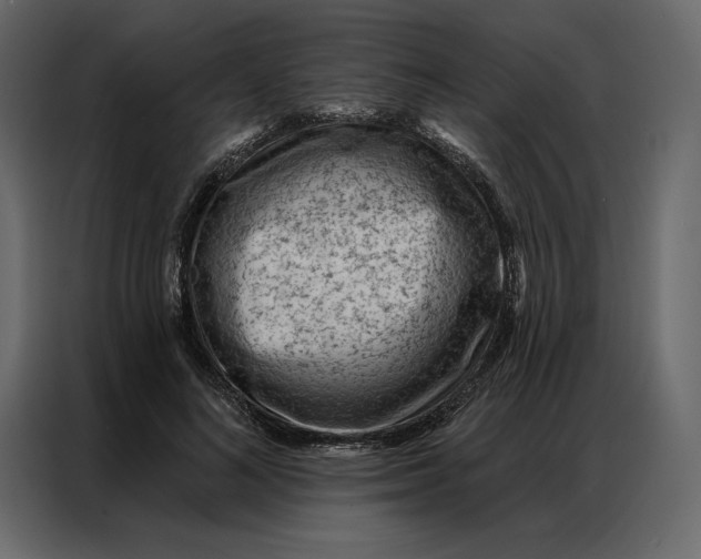 X0000086980692200705071417