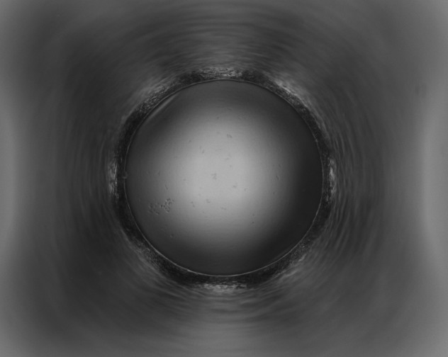 X0000086980693200705071417