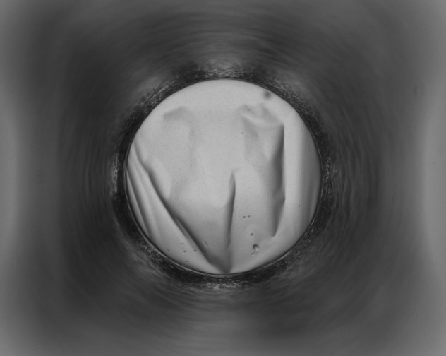 X0000086980694200705071417