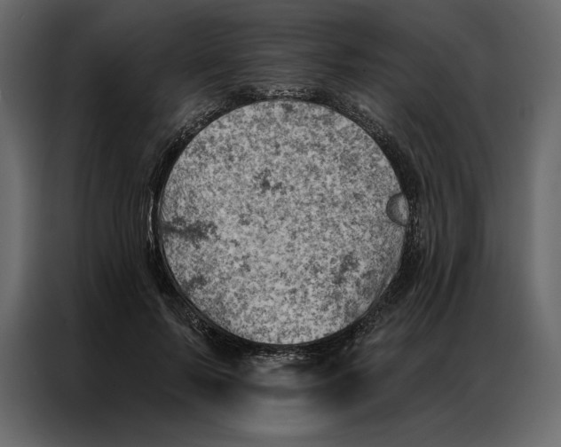 X0000086980695200705071417