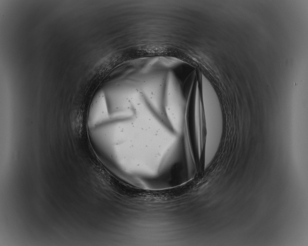 X0000086980697200705071417