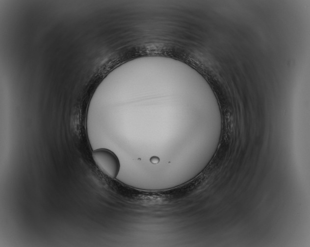 X0000086980698200705071417