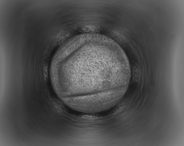 X0000086980699200705071417