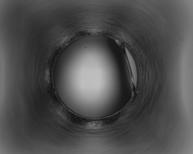 X0000086980700200705071417