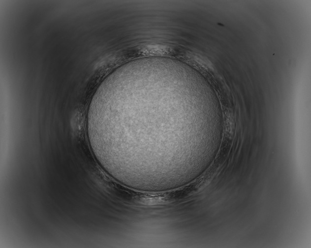 X0000086980701200705071417