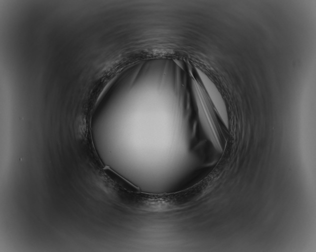 X0000086980704200705071417