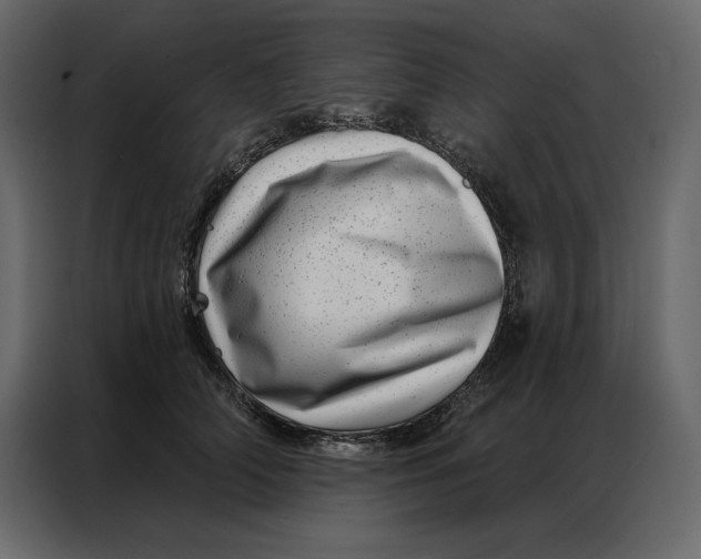 X0000086980706200705071417