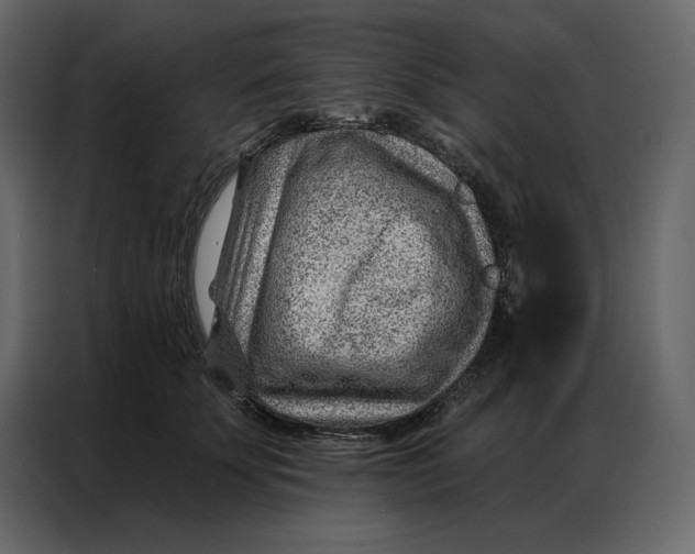 X0000086980707200705071417