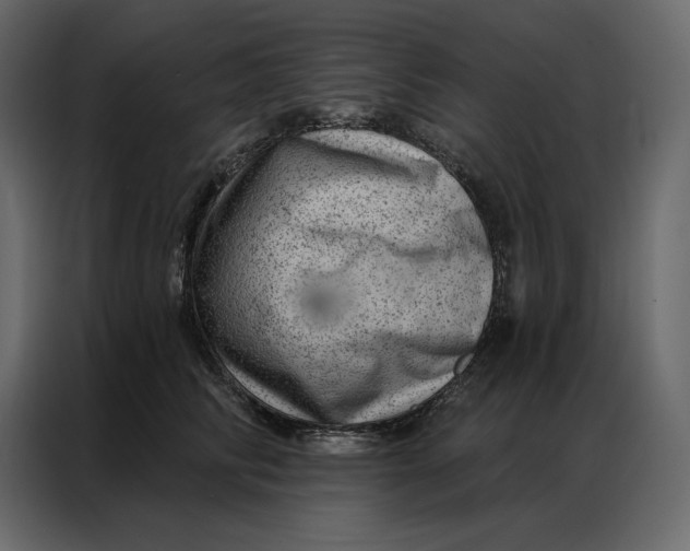 X0000086980710200705071417