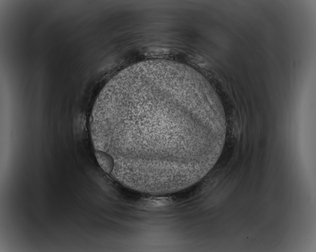 X0000086980711200705071417