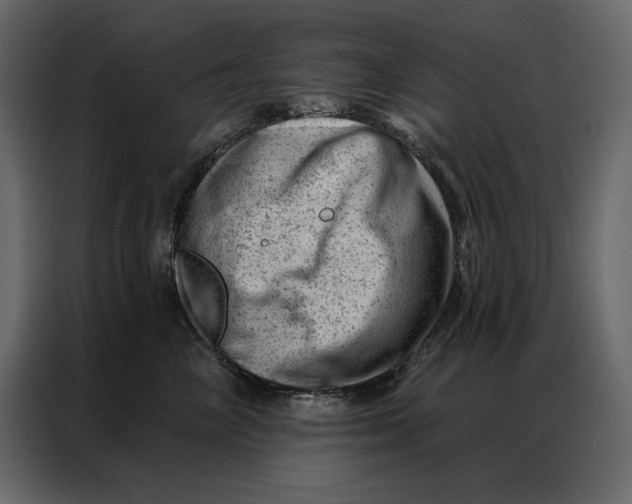 X0000086980714200705071417