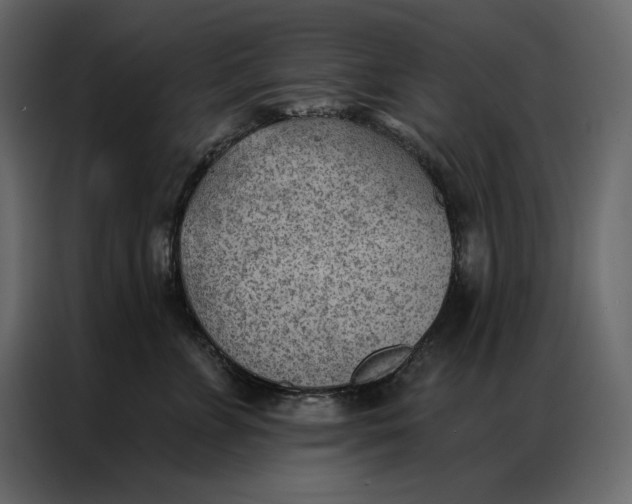 X0000086980715200705071417