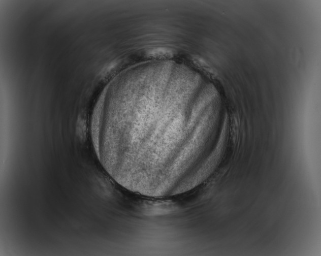 X0000086980716200705071417