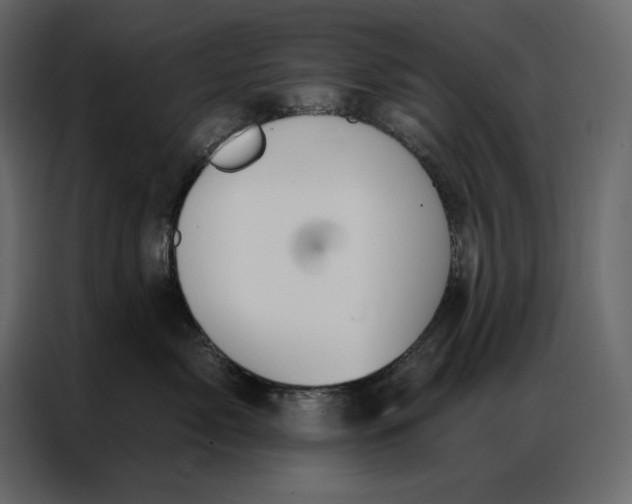 X0000086980717200705071417