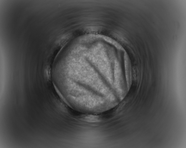 X0000086980718200705071417