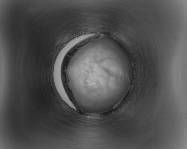 X0000086980720200705071417