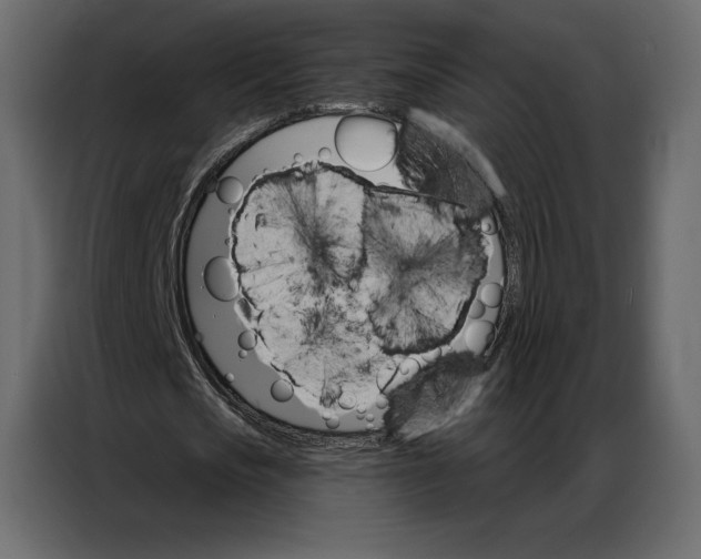 X0000086980721200705071416