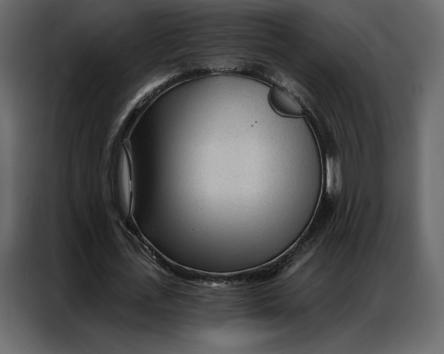 X0000086980723200705071416