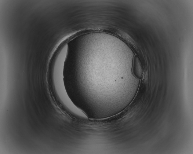 X0000086980724200705071416