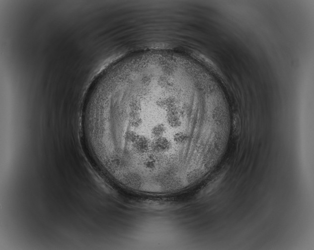 X0000086980725200705071416