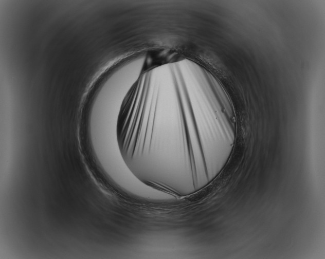 X0000086980728200705071416