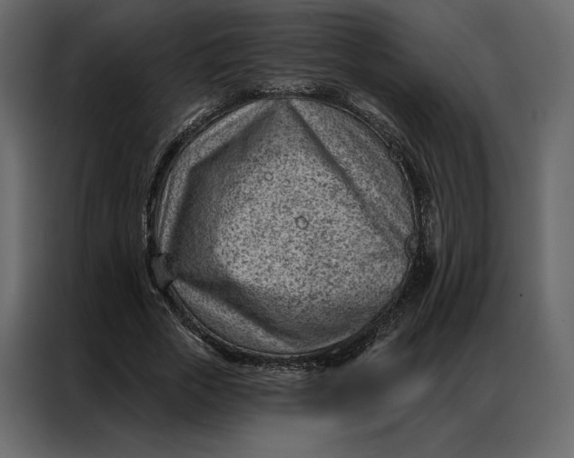 X0000086980729200705071416