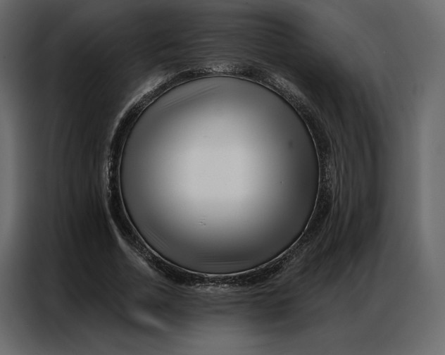 X0000086980730200705071416