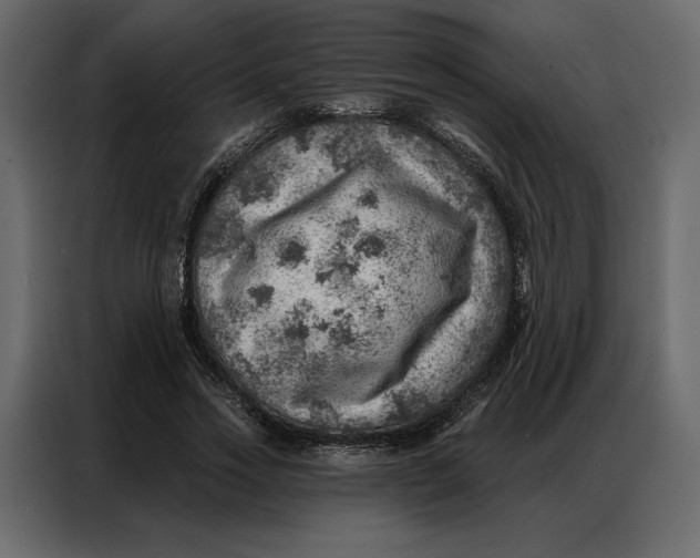 X0000086980733200705071416