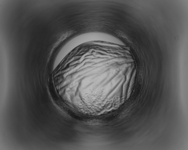 X0000086980734200705071416