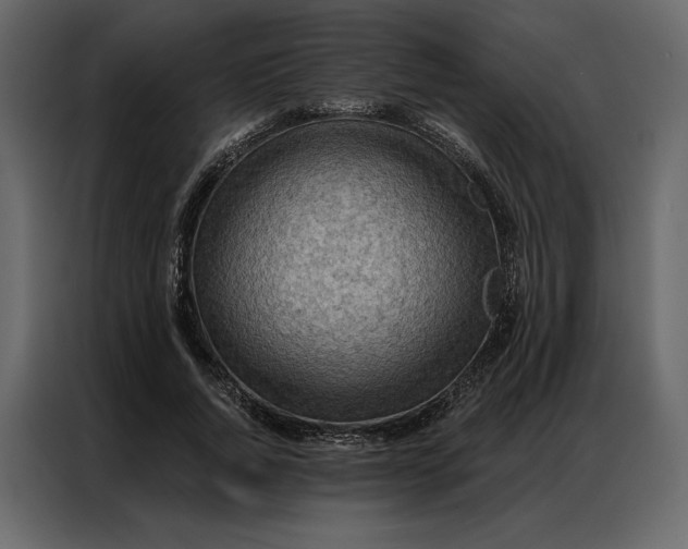 X0000086980736200705071416