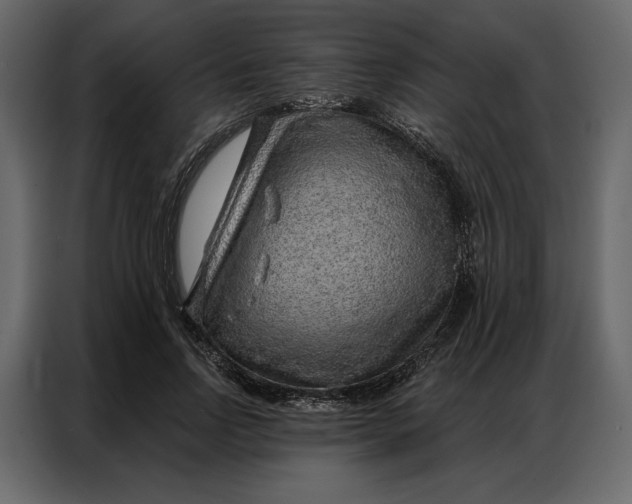 X0000086980742200705071416