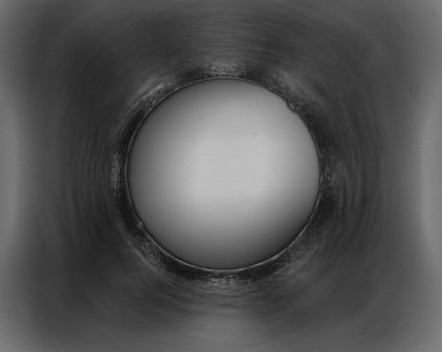 X0000086980744200705071416