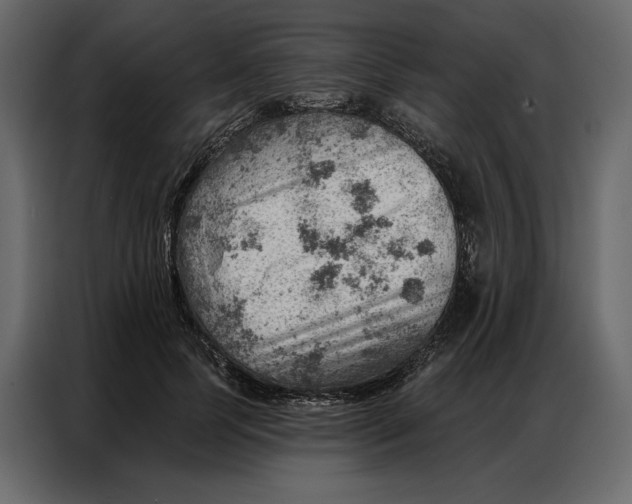 X0000086980745200705071416