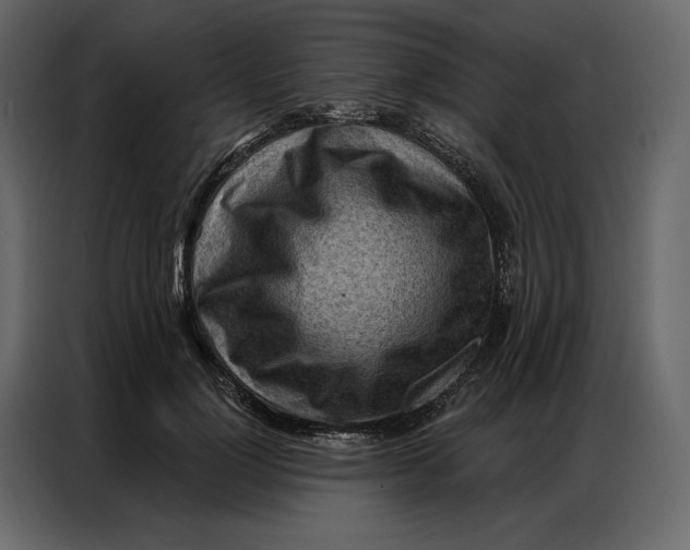 X0000086980748200705071416