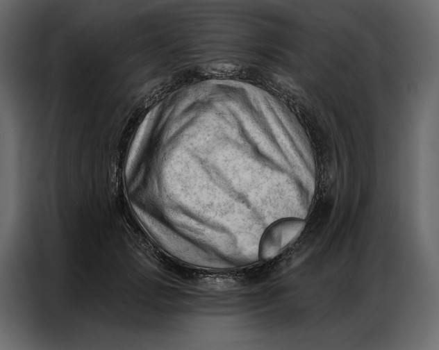 X0000086980749200705071416