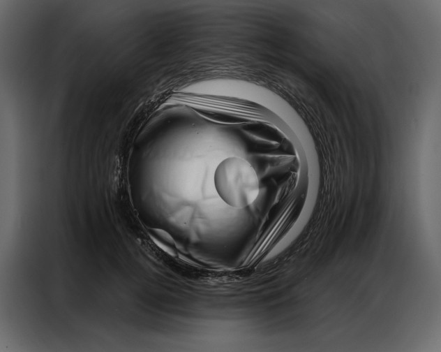 X0000086980752200705071416