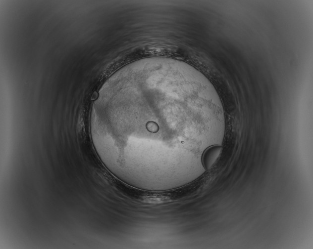 X0000086980754200705071416