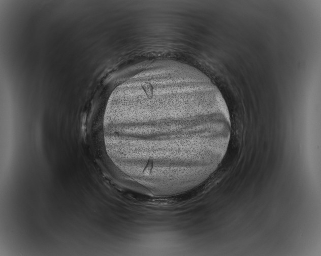 X0000086980758200705071416