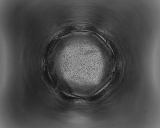 X0000086980759200705071416