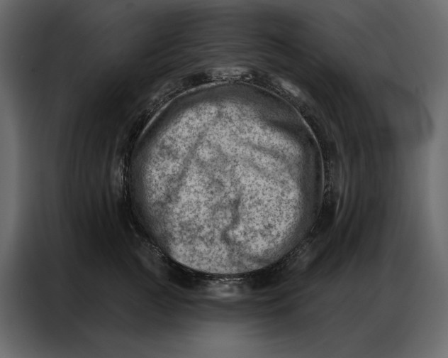 X0000086980761200705071416