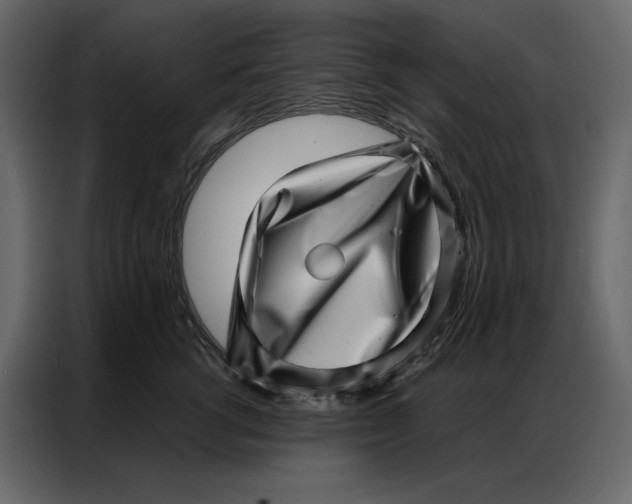 X0000086980762200705071416