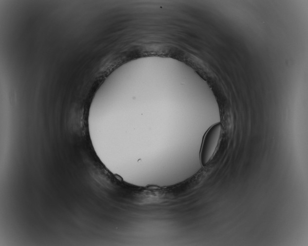 X0000086980764200705071416